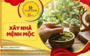 xây nhà mệnh mộc